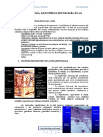 Embrio, Anato e Histo de La Piel