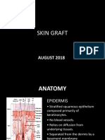 Skin Graft