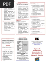 Tríptico Diplomado Componente Docente MODIFICADO