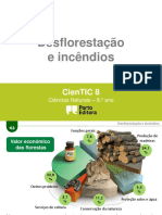 Desflorestação e Incêndios 