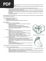 Anatomia Obstetrica