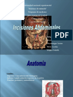 Incisiones Abdominales