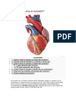 Como Funciona El Corazon