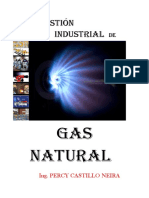 Gas Natural 2012