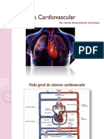 Cardio I 2017 PDF