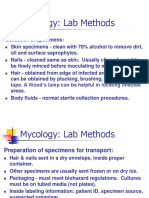 Mycology Lab Procedures Summer 2012