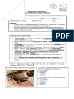 Prueba 3 Medio Termoregulación y Estrés 2018