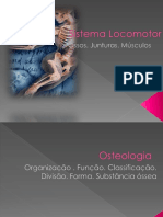 Sistema Locomotor PDF