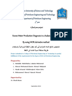 Water Problems Production PDF