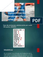 Presentación de Los Resultados Sobre La Opinión de Informantes Que Trabajan Con El Embarazo Adolescente.