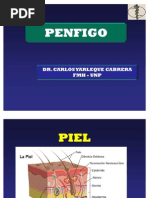 Penfigo Unp