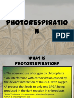 Photorespiratio N