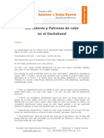 Colores y Patrones en Dachshunds PDF