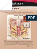 Z Plasties Labia PDF