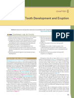 Tooth Development and Eruption c6