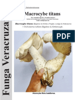 Macrocybe Titans FUNGA VERACRUZANA 168: 1-4