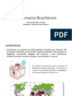 Leishmania Braziliensis Completa