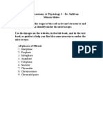 List of Structures To Identify - Mitosis Phases