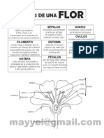 Flor 2 PDF