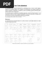 Biosíntesis de Las Catecolamínas