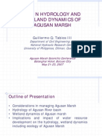 Basin Hydrology and Wetland Dynamics of Agusan Marsh