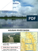 The Agusan Marsh