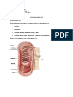 Apunte Sistema Digestivo Histologia