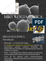 (Aula 2 Microbiologia Básica - Prof . Zilka) Micologia Básica