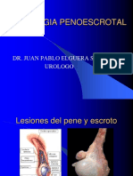 Patologia Genital Benigna