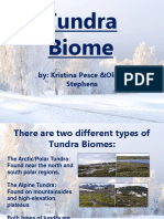 Tundra Biome