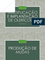 Aula 4 - Multiplicação e Implantação Da Cultura