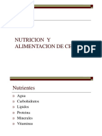 Nutricion de Cerdos