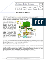 Apostila Reino Plantae Ou Metaphyta PDF