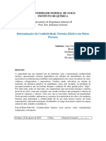 Determinação Da Condutividade Térmica Efetiva em Meios Porosos