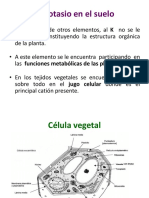 Potasio en El Suelo