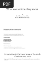 What Are Sedimentary Rocks: By: Coral Chamorro Laura Sofia Suarez Afanador Hernán Felipe