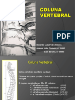 Coluna Vertebral