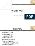 Urolithiasis: Mwashambwa