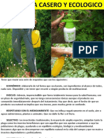 Informe Insecticida Ecologico