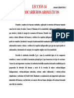 Leccion14 PDF