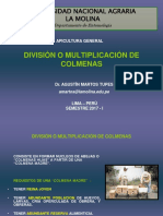 División de Colmenas 2017 I