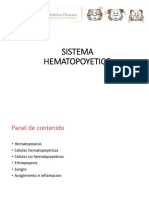 Histologia - Sistema Hematopoyetico