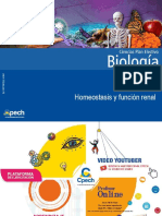 Clase 7 Homeostasis y Función Renal