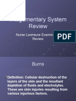 Integumentary System Review - Burns