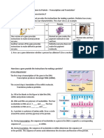 Transcription Translation Protocol