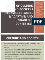 Aspects of Culture and Society I (Dynamic, Flexible, Adaptable, Shared and Contested