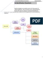 Bacterial ID Flowchart