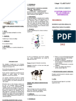 Triptico Del Sistema Digestivo de Vertebrados