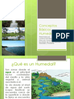 Conceptos Sobre Humedales