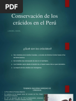 Conservación de Los Crácidos en El Perú